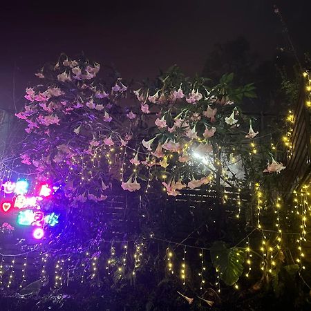 大方茶葉民宿 Fanlu Bagian luar foto